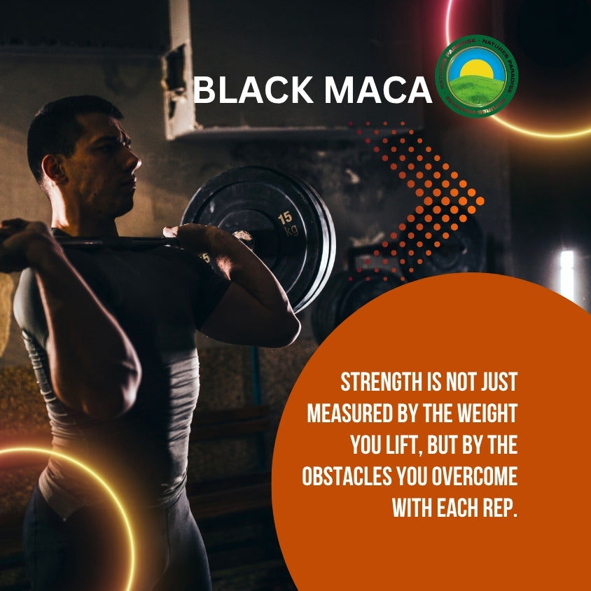 Black Maca Root Extract