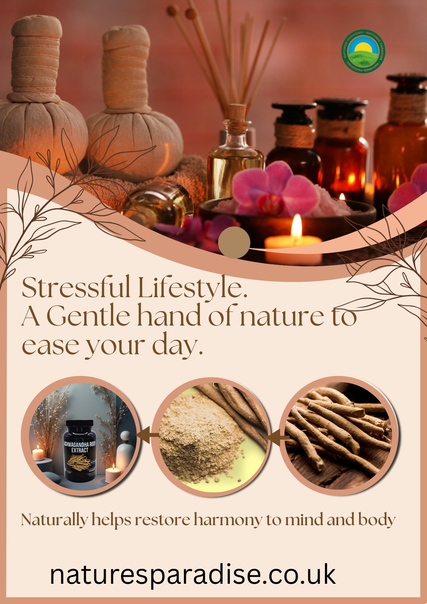 Ashwagandha Root Extract