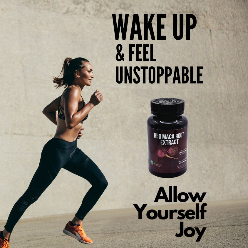 Red Maca Root Extract 20:1