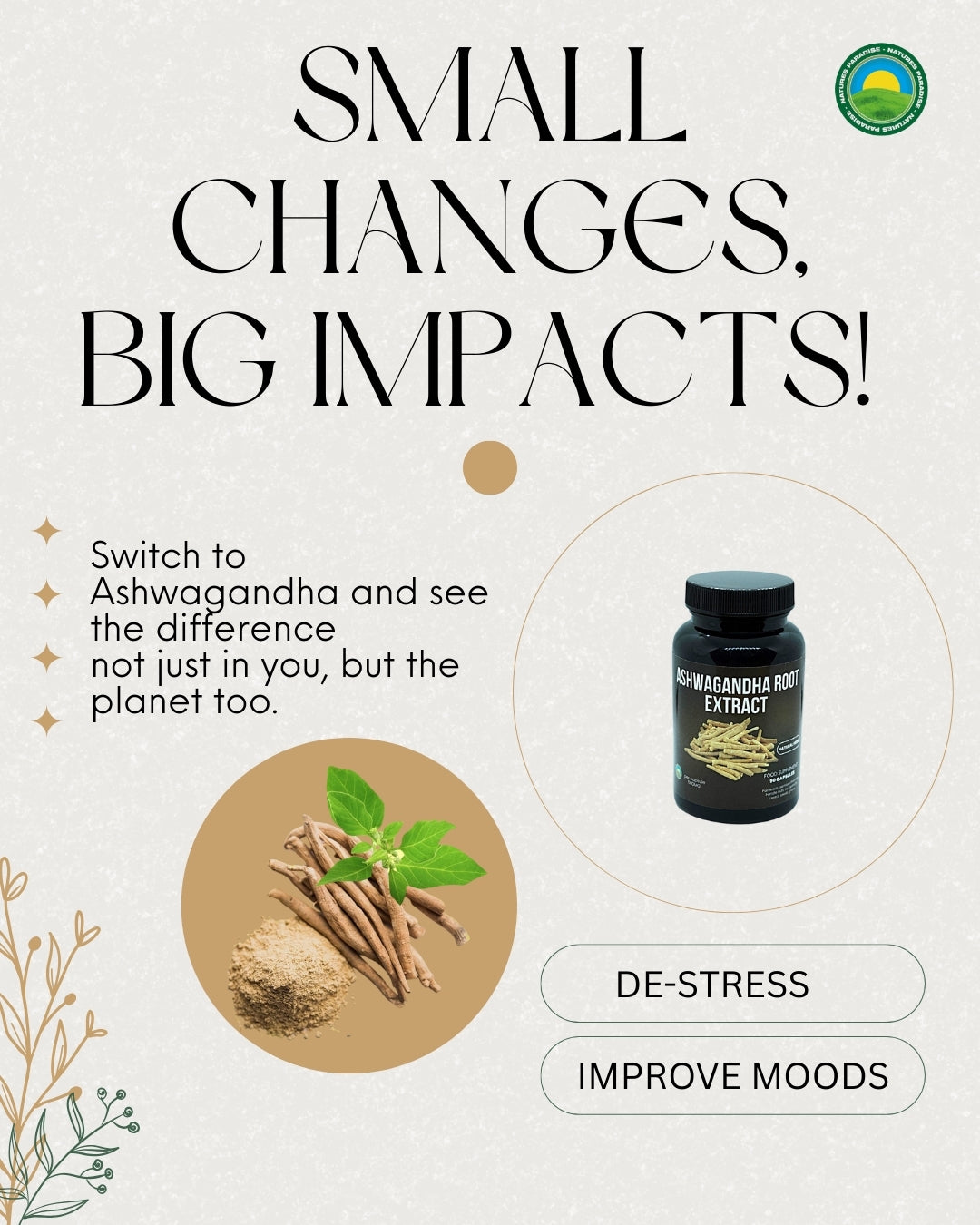 Ashwagandha Root Extract