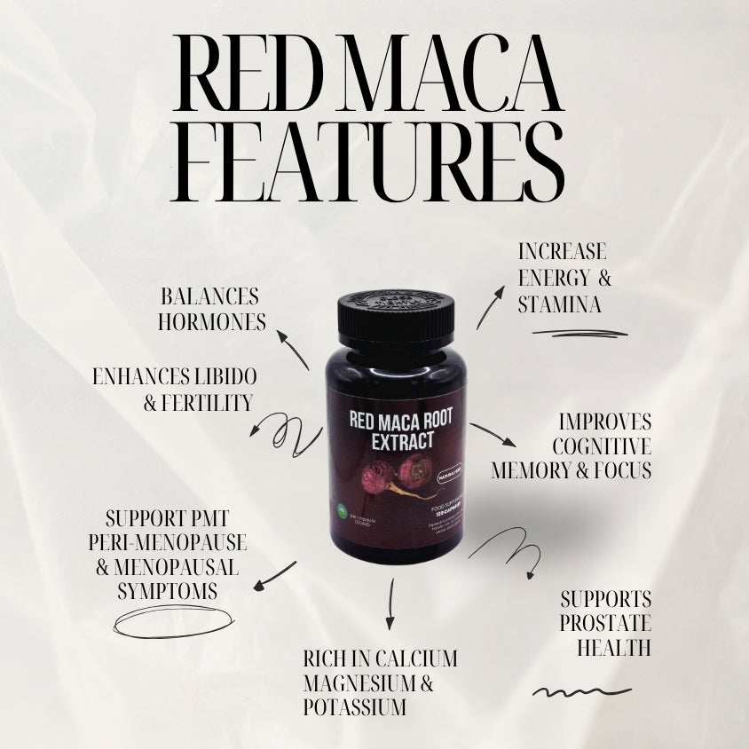 Red Maca Root Extract 20:1