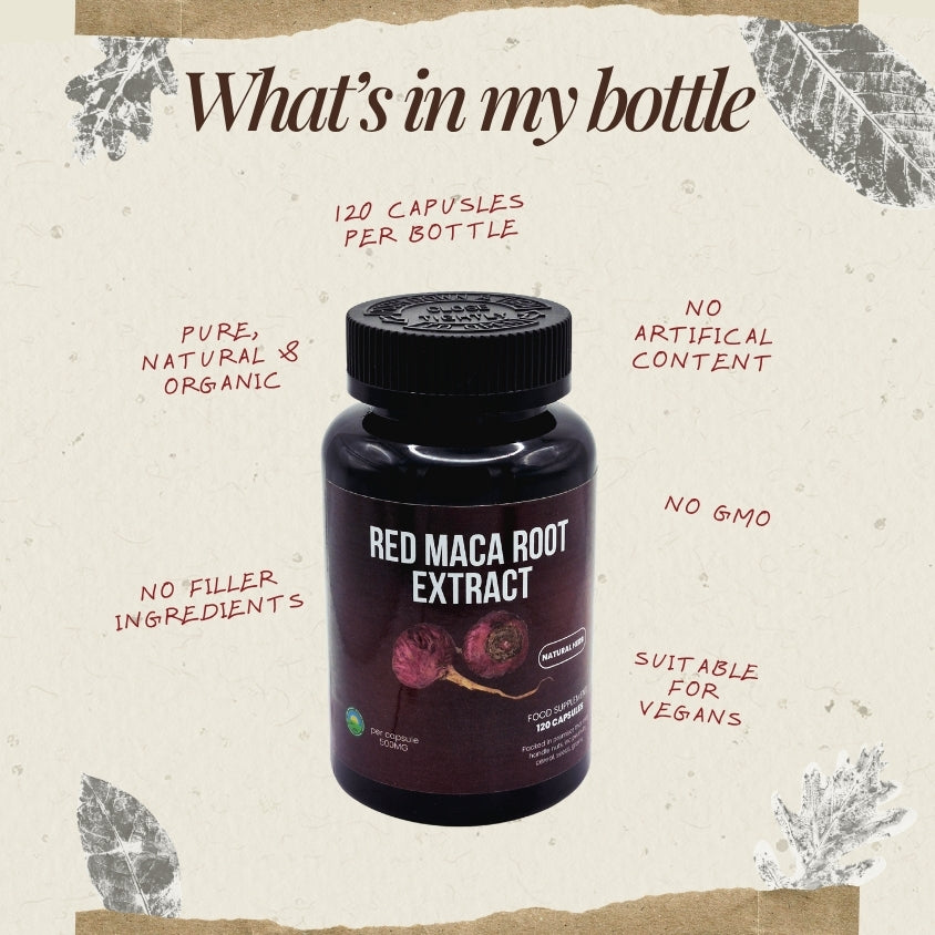 Red Maca Root Extract 20:1